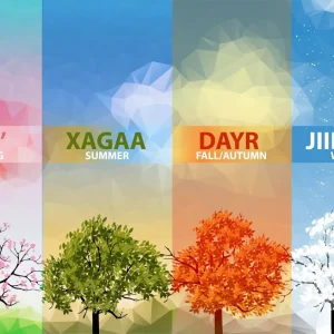 Disaster Risk Overview