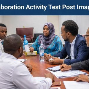 Test Post: Collaboration Activity