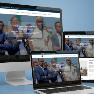 Technical Testing of DRMB Website News System